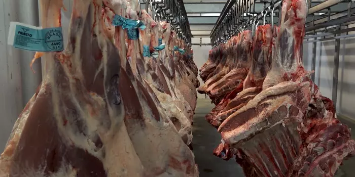 EXPORTAÇÃO DE CARNE DO MATO GROSSO PARA CHINA CRESCE QUASE 28%